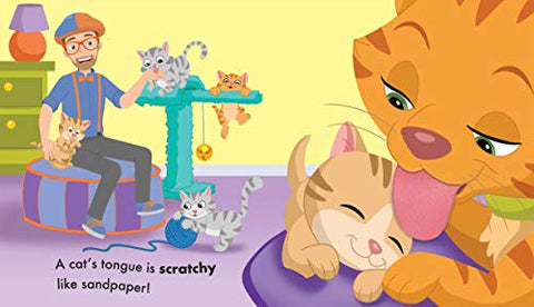 Image of Blippi: Pets (Touch and Feel)