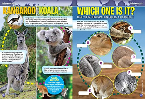 Image of Smithsonian Everything You Need to Know Activity Book