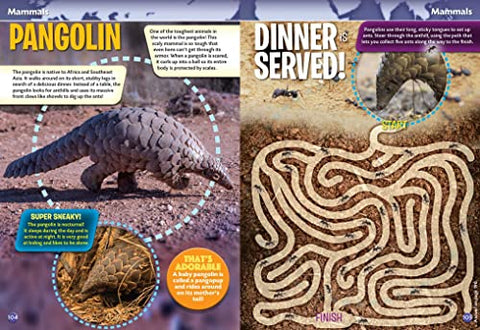 Image of Smithsonian Everything You Need to Know Activity Book