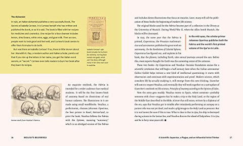 Image of Discovering Life’s Story: Biology’s Beginnings