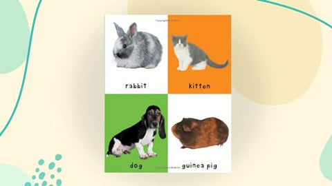 Image of First 100 Animals