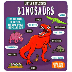 Dinosaurs (Little Explorers)