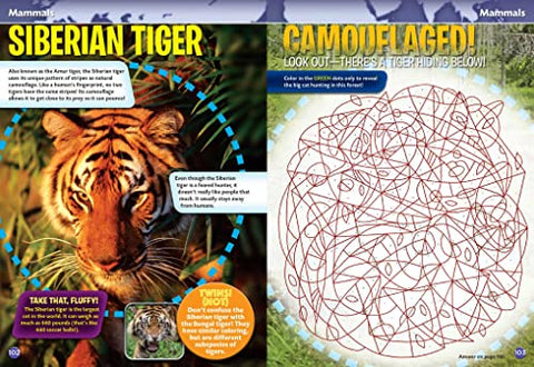 Image of Smithsonian Everything You Need to Know Activity Book