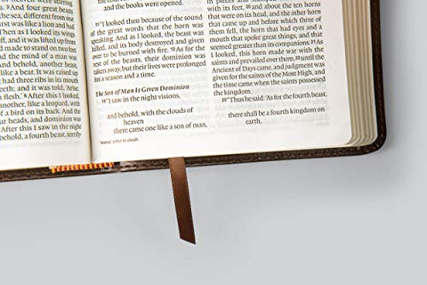 Image of ESV LARGE PRINT COMPACT BIBLE (TRUTONE, BROWN/WALNUT, PORTFOLIO DESIGN)