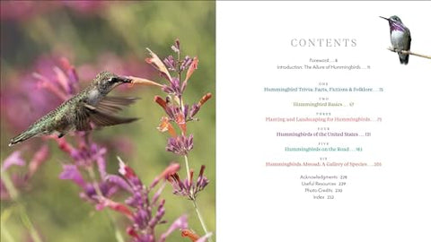 Image of The Hummingbird Handbook: Everything You Need to Know about These Fascinating Birds