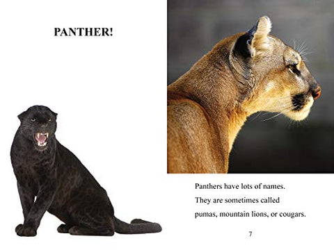 Image of Jungle Beasts: Level 2 (I Can Read! / Made By God)