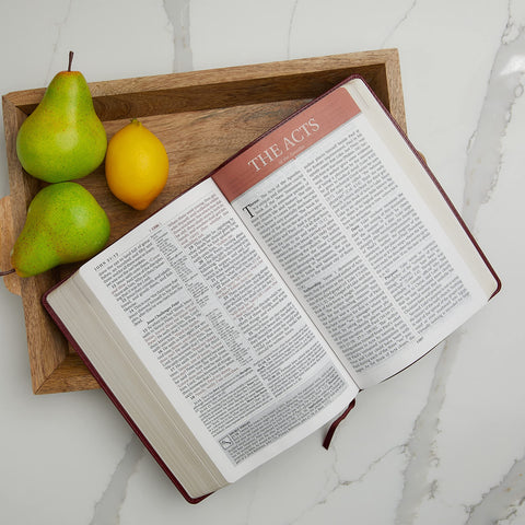 Image of KJV STUDY BIBLE, LARGE PRINT, LEATHERSOFT, MAROON/BROWN, RED LETTER: SECOND EDITION (SIGNATURE)