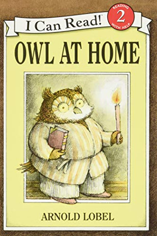 Image of OWL AT HOME