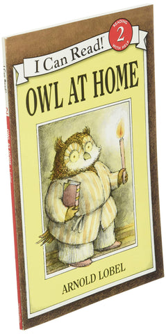 Image of OWL AT HOME
