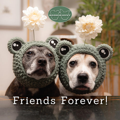 Image of SOOKIE AND IVY FRIENDS FOREVER! (FOX CHAPEL PUBLISHING) BEAUTIFUL GIFT BOOK FEATURING CUTE PHOTOS OF DOGS IN HATS, WITH UPLIFTING AND FUNNY QUOTES ABOUT THE JOY OF FRIENDSHIP