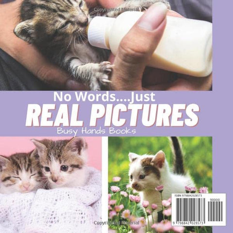 Image of TODDLER BOOKS ABOUT KITTENS: WORDLESS PICTURE BOOKS FOR TODDLERS: KITTEN BOOK FOR TODDLERS WITH REAL PICTURES