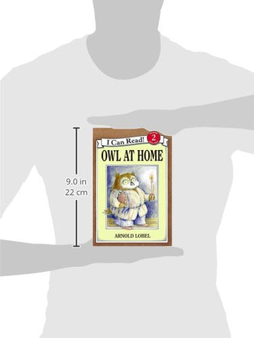 Image of OWL AT HOME