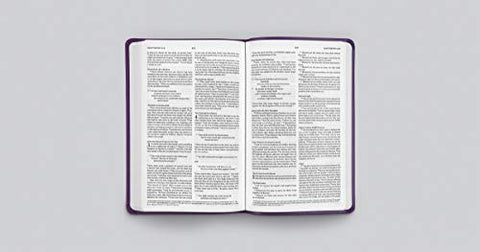 Image of ESV VALUE THINLINE BIBLE (TRUTONE, LAVENDER, ORNAMENT DESIGN)