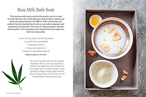Image of THE CBD BEAUTY BOOK: MAKE YOUR OWN NATURAL BEAUTY PRODUCTS WITH THE GOODNESS EXTRACTED FROM HEMP
