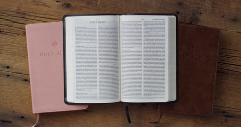 Image of ESV PREMIUM CHURCH BIBLE (TRUTONE, BLACK)
