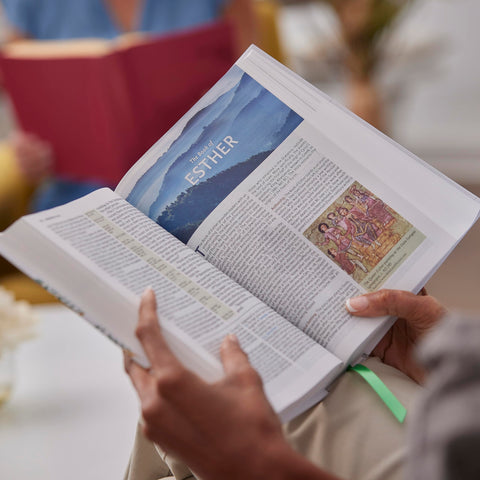 Image of NKJV Evangelical Study Bible: Christ-centered. Faith-building. Mission-focused. ( Pink Leathersoft Red Letter Large Comfort Print)