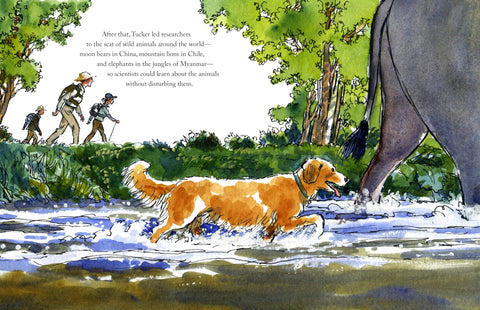 Image of TROUBLE DOG: FROM SHELTER DOG TO CONSERVATION HERO (SPECTACULAR STEAM FOR CURIOUS READERS (SSCR))