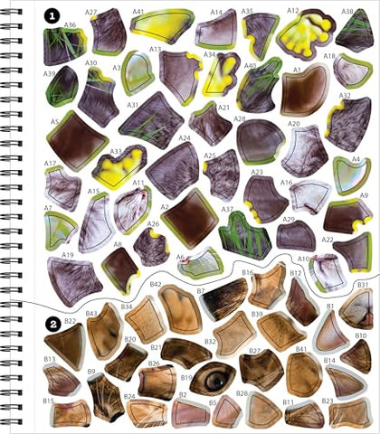 Image of Brain Games - Sticker by Number: All You Need is Cats (27 Images to Sticker)