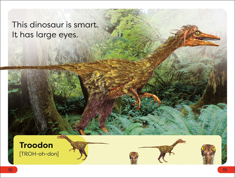 Image of DK SUPER READERS PRE-LEVEL MEET THE DINOSAURS
