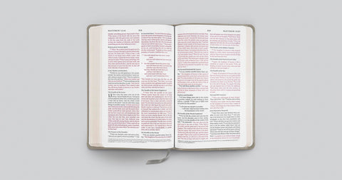 Image of ESV THINLINE BIBLE (TRUTONE, STONE, BRANCH DESIGN)