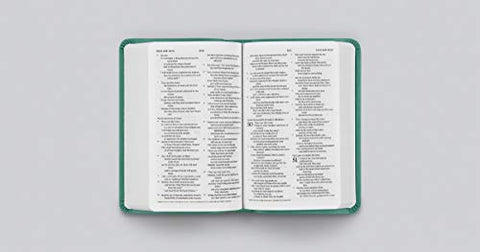 Image of ESV VALUE COMPACT BIBLE (TRUTONE, TURQUOISE, EMBLEM DESIGN)
