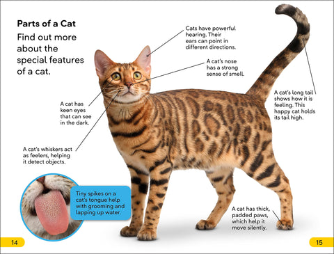 Image of DK SUPER READERS LEVEL 2 CATS AND KITTENS