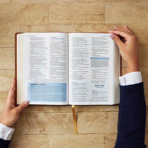 Image of STUDENT STUDY BIBLE: A GUIDE TO KNOWING AND LIVING GOD’S WORD