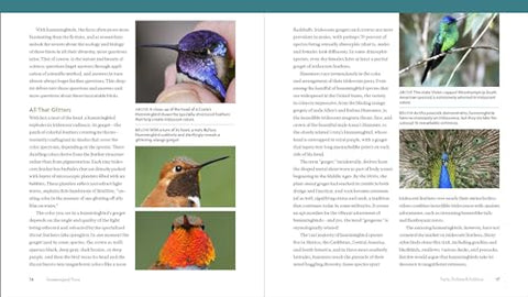 Image of The Hummingbird Handbook: Everything You Need to Know about These Fascinating Birds