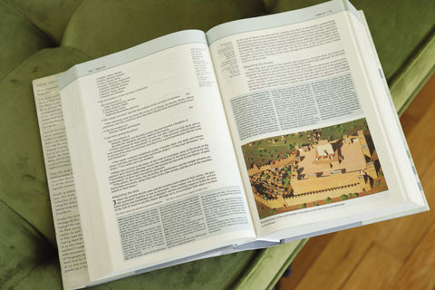 Image of NIV, BIBLICAL THEOLOGY STUDY BIBLE (TRACE THE THEMES OF SCRIPTURE), HARDCOVER, COMFORT PRINT: FOLLOW GOD’S REDEMPTIVE PLAN AS IT UNFOLDS THROUGHOUT SCRIPTURE