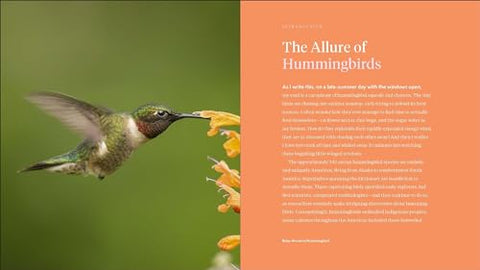 Image of The Hummingbird Handbook: Everything You Need to Know about These Fascinating Birds