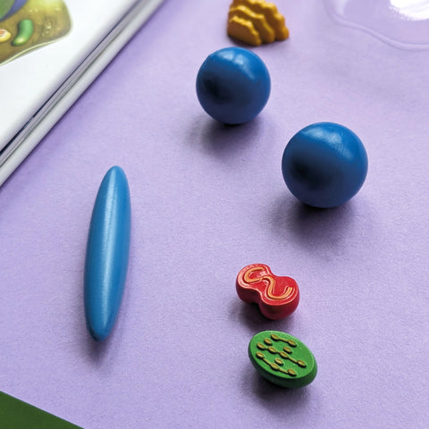 Image of Wonders of Learning WOLNBS25 6" Educational Box Set