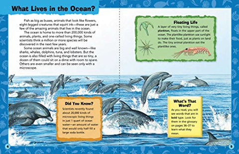 Image of Animal Adventures: Ocean