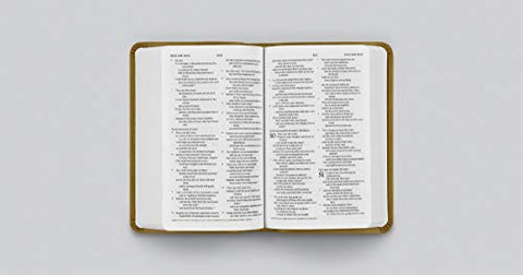 Image of ESV VALUE COMPACT BIBLE (TRUTONE, GOLDENROD, ORNAMENT DESIGN