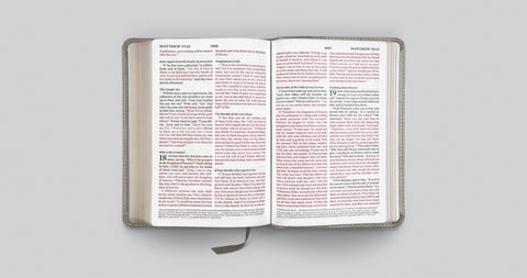 Image of ESV LARGE PRINT COMPACT BIBLE (TRUTONE, STONE, BRANCH DESIGN)