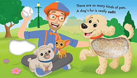 Image of Blippi: Pets (Touch and Feel)