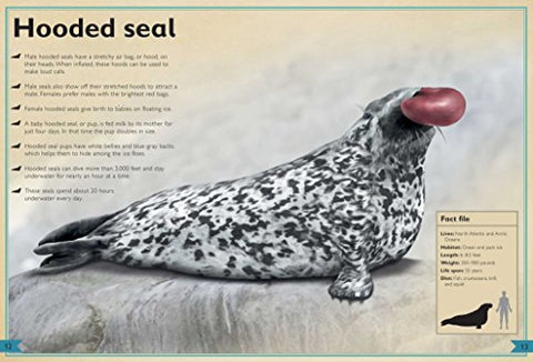 Image of The Magnificent Book of Ocean Creatures