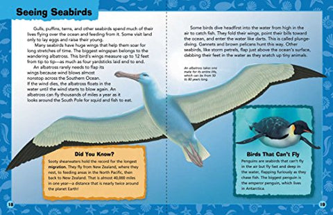 Image of Animal Adventures: Ocean