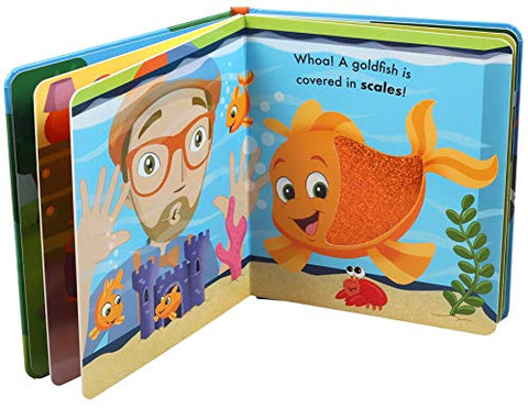 Image of Blippi: Pets (Touch and Feel)