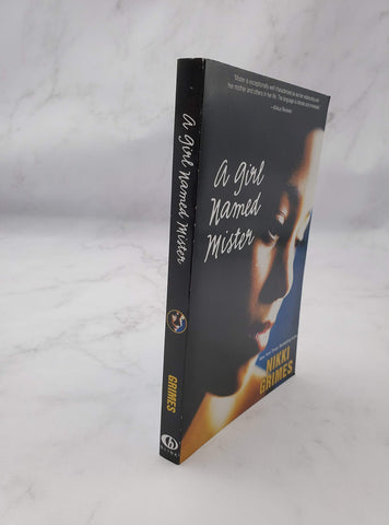 Image of A Girl Named Mister