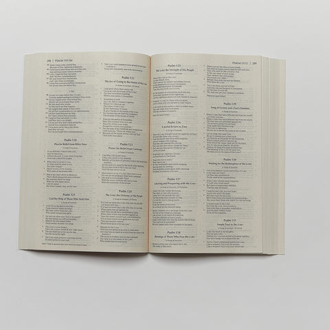 Image of NKJV, Economy Bible, Paperback: Beautiful. Trustworthy. Today