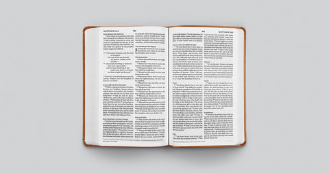 Image of ESV VALUE THINLINE BIBLE (TRUTONE, ENGLISH SADDLE)