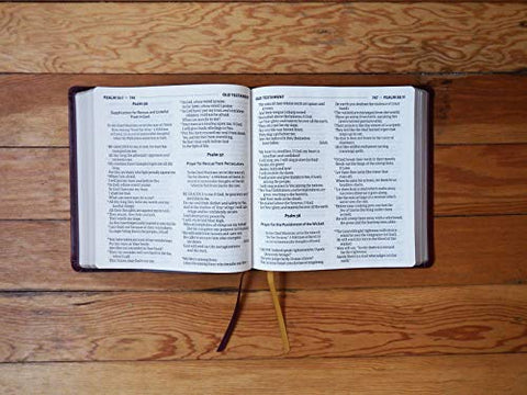 Image of AMPLIFIED HOLY BIBLE, XL EDITION--SOFT LEATHER-LOOK, BURGUNDY