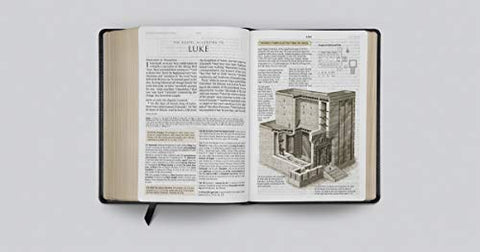 Image of ESV STUDY BIBLE, LARGE PRINT (TRUTONE, BLACK)