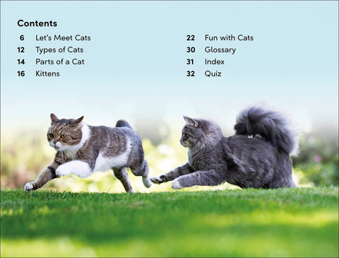 Image of DK SUPER READERS LEVEL 2 CATS AND KITTENS