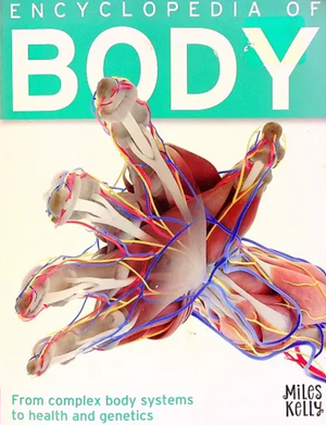 Encyclopedia Of Body