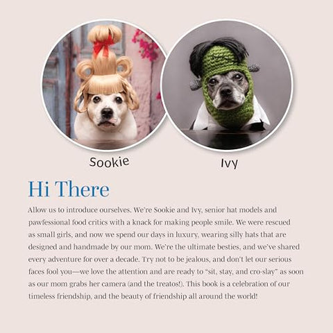 Image of SOOKIE AND IVY FRIENDS FOREVER! (FOX CHAPEL PUBLISHING) BEAUTIFUL GIFT BOOK FEATURING CUTE PHOTOS OF DOGS IN HATS, WITH UPLIFTING AND FUNNY QUOTES ABOUT THE JOY OF FRIENDSHIP