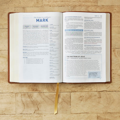 Image of STUDENT STUDY BIBLE: A GUIDE TO KNOWING AND LIVING GOD’S WORD