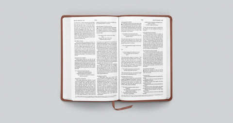 Image of ESV PREMIUM CHURCH BIBLE (TRUTONE, BROWN)