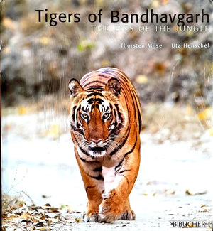 The Eyes of the Jungle