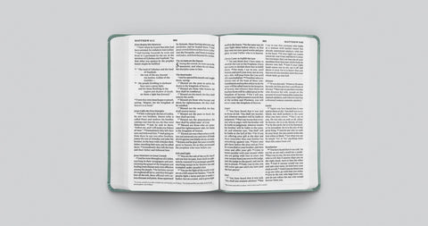 Image of ESV VALUE THINLINE BIBLE (TRUTONE, PARIS SKY, FLEUR-DE-LIS DESIGN)